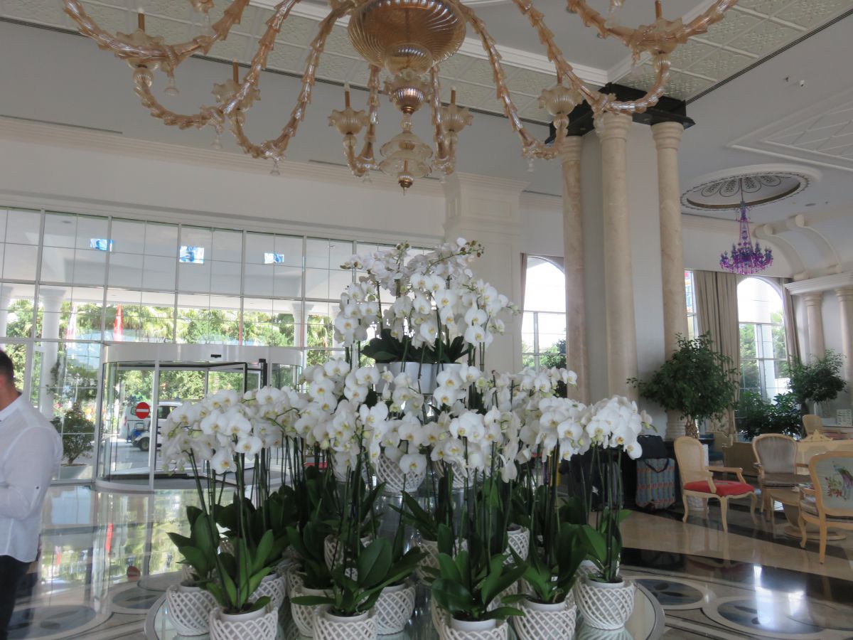 imagini hotel Rubi Platinum Resort